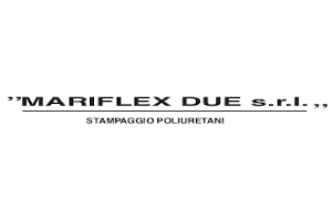 MARIFLEX DUE s.r.l. - Sponsor Gold